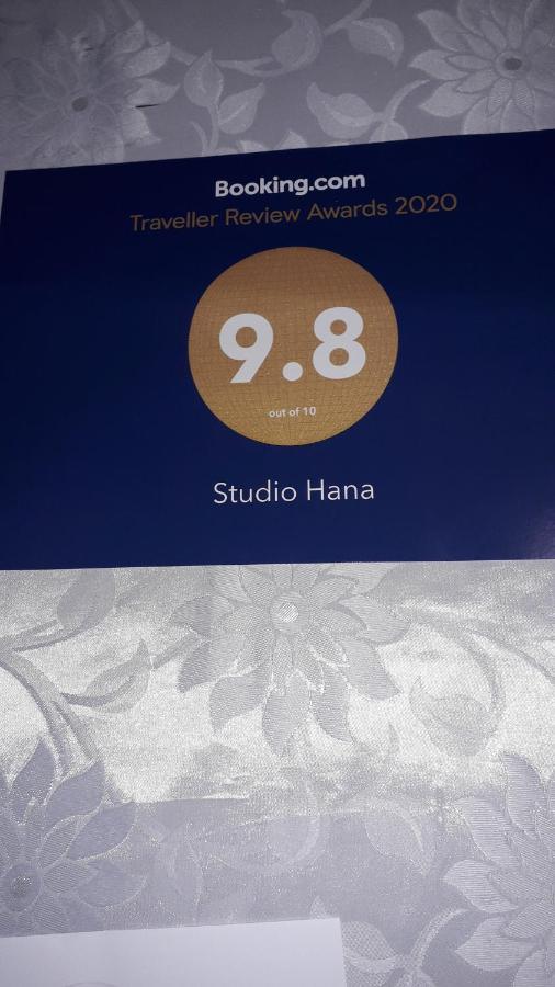 Studio Hana Novi Sad Dış mekan fotoğraf